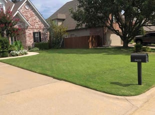 Michael R.'s lawn maintenance service result