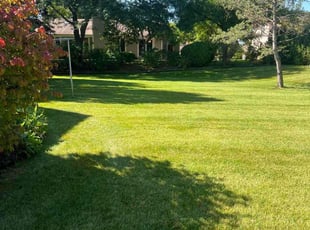Bobbie D.'s turf maintenance service result
