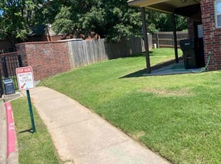 Chris B.'s turf care service result