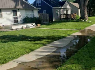 Cathleen P.'s turf maintenance service result