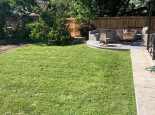 Helen C.'s lawn maintenance service result
