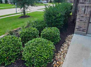 Justin T.'s Flower Bed Weeding service result