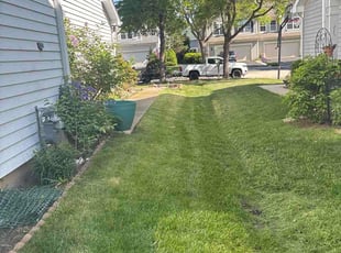 Frances S.'s turf care service result