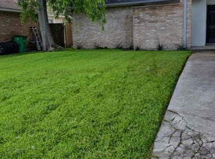 Marco C.'s yard work service result