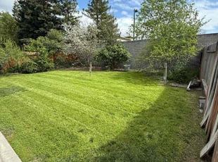 Rita B.'s turf maintenance service result