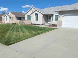Nona J.'s turf maintenance service result