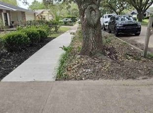 Wendy K.'s grass maintenance service result