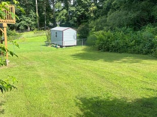 Gaylene C.'s lawn service service result