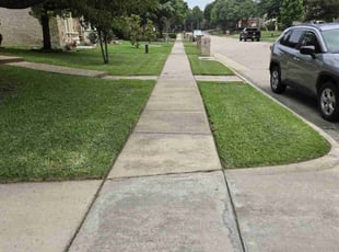 Irma K.'s lawn care services service result