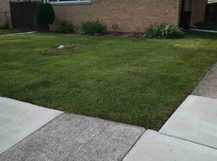 Emma H.'s lawn care service result