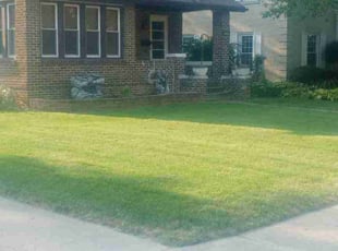 Alexandra V.'s lawn maintenance service result