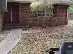 Lynne S.'s Bush Trimming service result