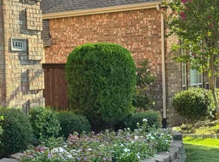 Kyle K.'s Bush Trimming service result