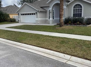 Lisa K.'s lawn care service result