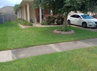 Sarah N.'s lawn care service result