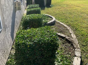 Earline G.'s Bush Trimming service result