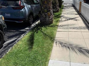Ryan J.'s turf care service result