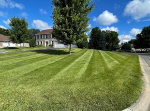 Toby A.'s grass cutting service result