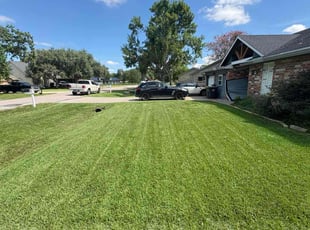 Stephen D.'s lawn care services service result
