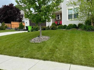 Corey D.'s landscaping service result