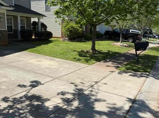 Claudia C.'s lawn maintenance service result