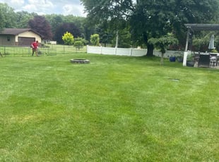 Mary B.'s grass cutting service result