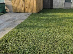 Joe D.'s lawn care service result