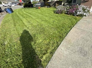 Nathaniel H.'s turf care service result