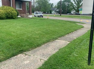 Ross M.'s grass cutting service result