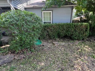 Teresa V.'s Bush Trimming service result