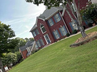 Iona D.'s lawn maintenance service result