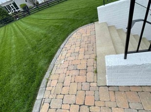Francisca M.'s lawn care services service result