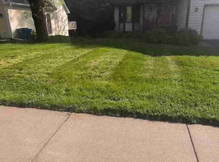 Erik M.'s turf care service result