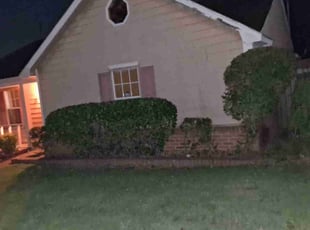 Steve M.'s grass cutting service result