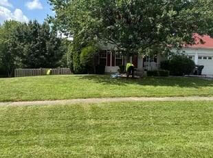 Peggy M.'s turf care service result