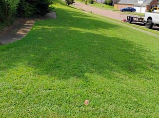 Kathie R.'s lawn service service result