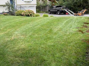 Tacarol B.'s turf care service result