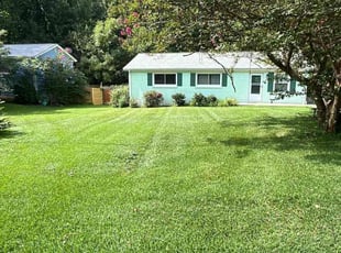 Tressie B.'s lawn care services service result