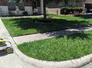 Joseph D.'s grass cutting service result