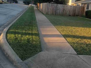 Jill R.'s turf care service result