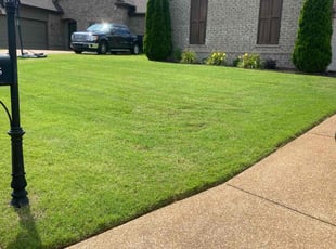 Barry D.'s Lawn Mowing service result