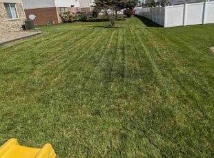 Jeanne J.'s turf maintenance service result