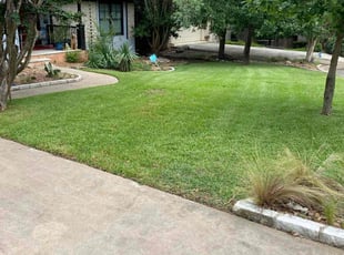 Barbara K.'s lawn maintenance service result