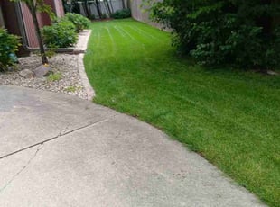 Deb K.'s lawn maintenance service result