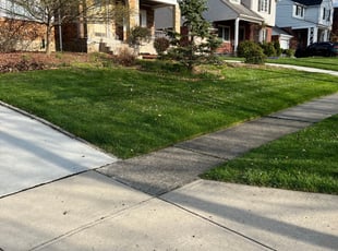 Erika C.'s grass maintenance service result