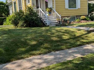 Susan W.'s residential landscaping service result