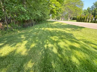 Cassandra C.'s turf care service result