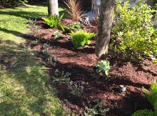 Robert P.'s Mulching service result