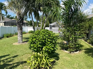 Peter B.'s grass cutting service result