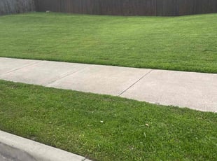 Robert J.'s grass maintenance service result